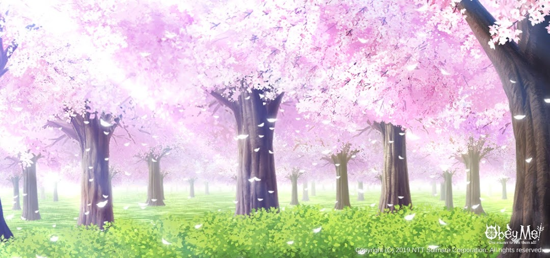 Cherry Blossoms.png