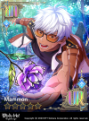 Shiny Flower of Memories (NB) Locked.png