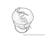 Dawn's Embrace 2025 Ring Light.png