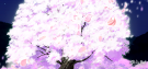 Cherry Blossom Tree.png