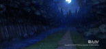 Forest at Night rain.png